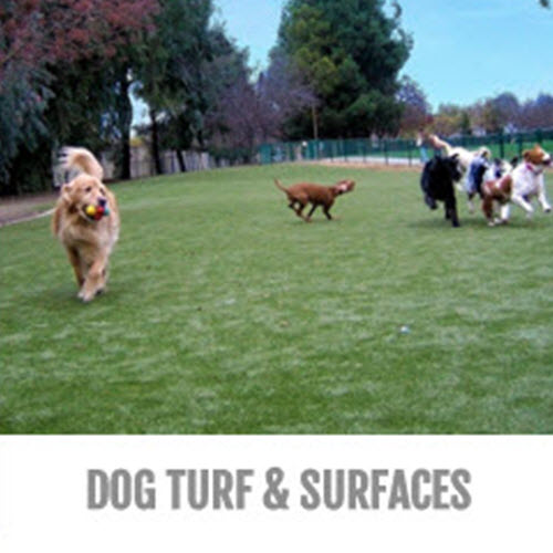 CAD Drawings Gyms For Dogs Dog Turf & Surfaces